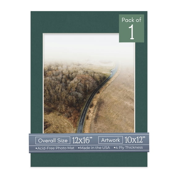 Forest Green Picture Frame Mat for 12x16 Frames - Fits 10x12 Photos - 1 Mat