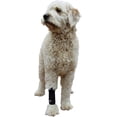 thumbnail image 3 of Labra Extra Supportive Dog Canine Front Leg Metal Spring Compression Brace Wrap Sleeve Protects Wounds Brace Heals and Prevents Injuries and Sprains Helps with Loss of Stability Caused by Arthritis…, 3 of 5
