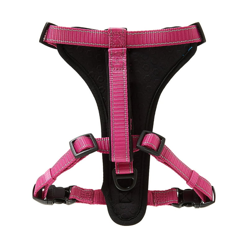 Cat harness animates hot sale