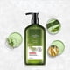 thumbnail image 5 of Shampoo Champú para el cabello de limpieza profunda y refrescante, Control de aceite, folículos obstruidos, anticaspa, 5 of 5