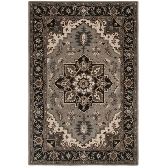 SAFAVIEH Royalty Corine Oriental Area Rug, Silver/Charcoal, 6' x 9'
