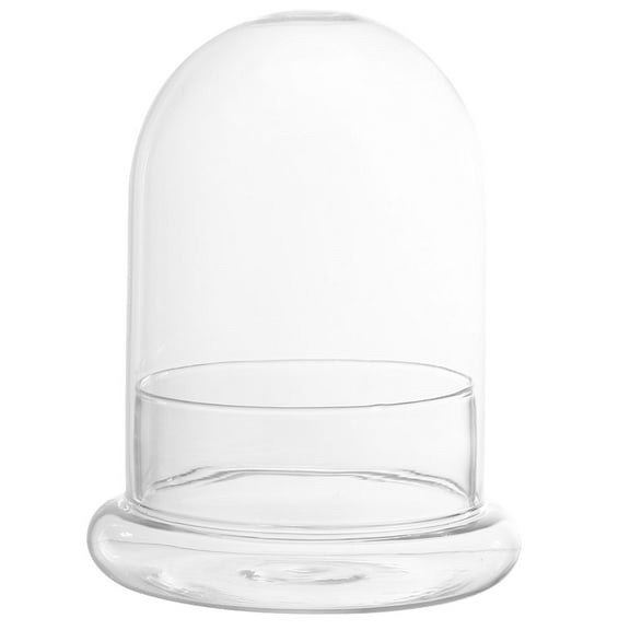 Himition Glass Terrarium Glass Planter Vase Clear Plant Holder with Lid Moss Terrarium for DIY