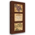 thumbnail image 1 of Gregory Gorham 12x24 Gallery Wrapped Canvas Wall Art Titled - Wine Country Panel II, 1 of 4