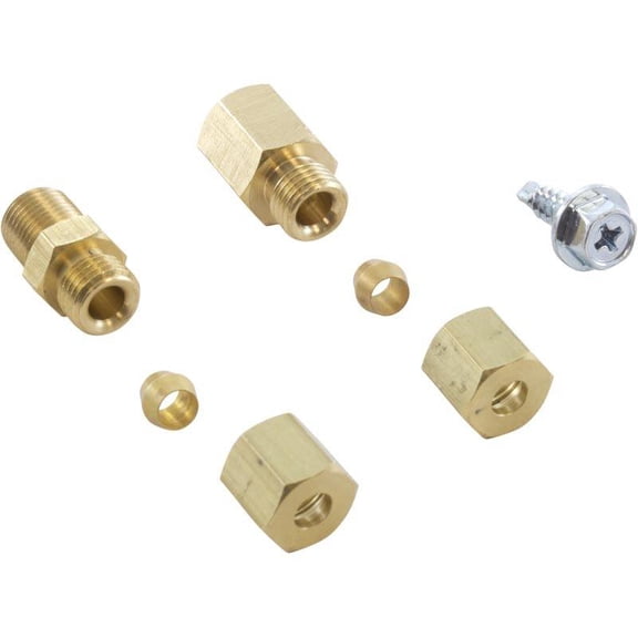 Zodiac Pressure Switch and Syphon Loop R0322900