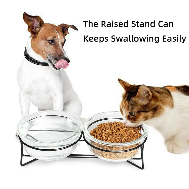 Glass dog best sale food bowls