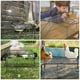 thumbnail image 2 of 1 juego de comederos metálicos tipo granja para pollos con escalera de hierro., 2 of 4