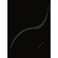 thumbnail image 4 of Rimmel Scandaleyes Bold Liquid Liner, Black, 0.02 oz, 4 of 4