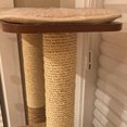 thumbnail image 4 of Cuerda de sisal trenzada Para gato DIY Likrtyny 4mmx50m, 4 of 9