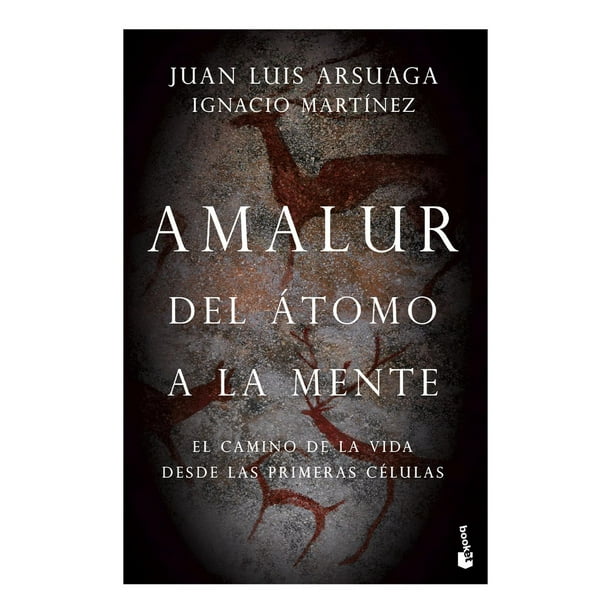 Amalur Booket Paidós 9786075693569