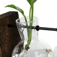 thumbnail image 4 of Hydroponic Vase Simple Decorative Glass Flower Vase Plant Terrarium with Wooden Stand, 4 of 5