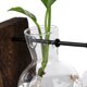 thumbnail image 4 of Florero Hidropónico Hidropónico, Florero De Cristal Decorativo Simple, Terrario De Planta Con Soporte De Madera, 4 of 8