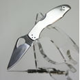 thumbnail image 3 of SPYDERCO BYRD FOLDER 3" 8C13MOV STAINLESS STRAIGHTBACK STAINLESS STEEL, 3 of 7