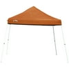 University of Texas Longhorns FIRST-UP Gazebo
