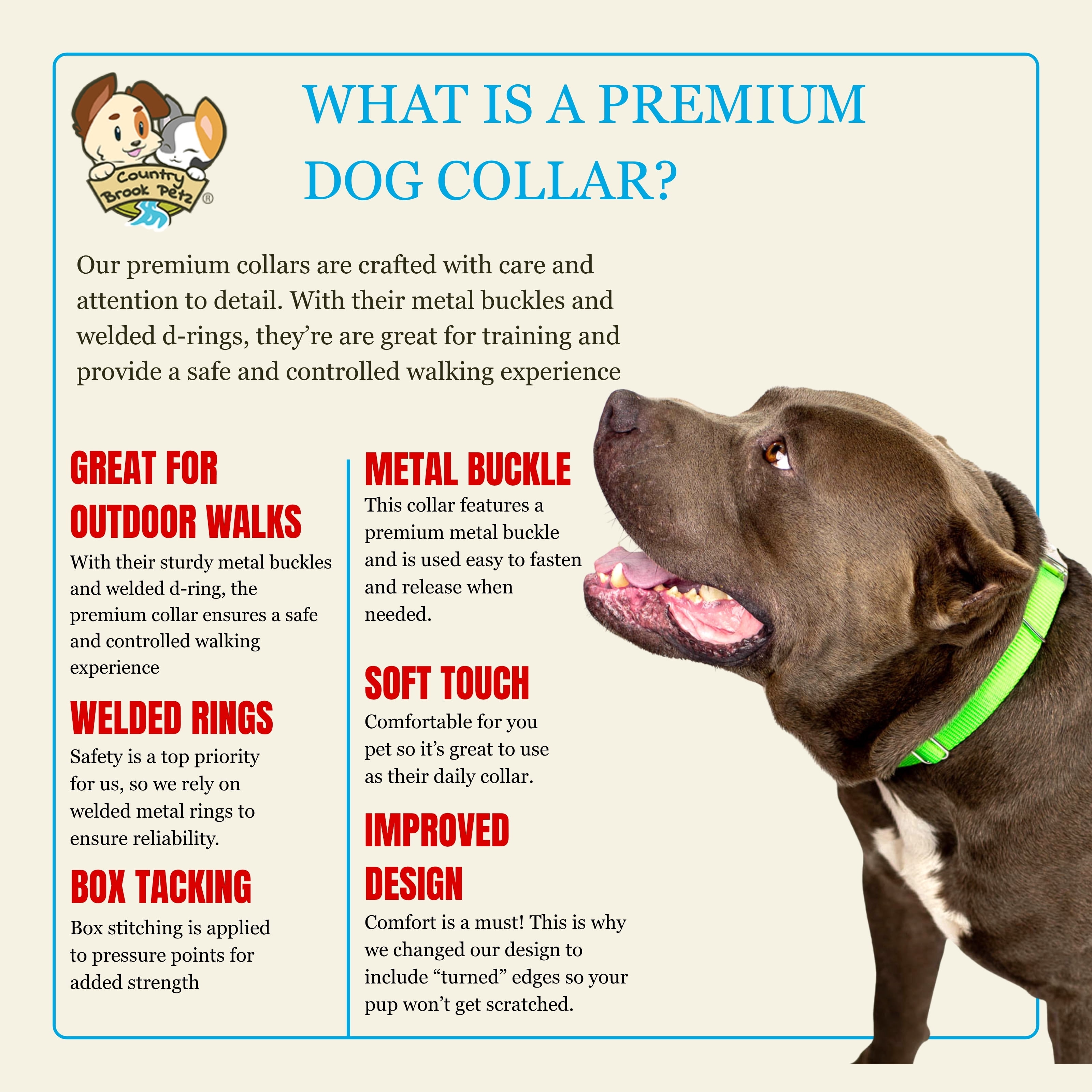 Country Brook Petz® Premium Nylon Dog Collar with Metal Buckle for Small Medium Large Breeds (Large, 1 Inch, Hot Lime Green)