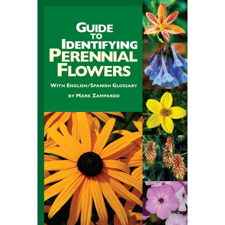Guide to Identifying Perennial Flowers - eBook (Best Perennial Flowers For North Texas)