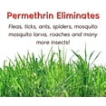 thumbnail image 4 of Zone Protects Flea and Tick Yard Spray Insecticide w/ Permethrin; Hose End Sprayer Covers 10,000 sq.ft., 4 of 5