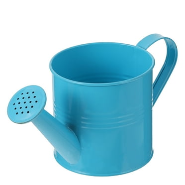 Watering Can Pot Flower Garden Water Indoor Bucket Galvanized Sprayer Kettle Pitcher Pail Jug Small Outdoor