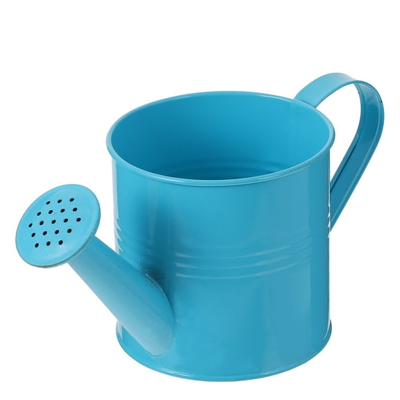 Watering Can Pot Flower Garden Water Indoor Bucket Galvanized Sprayer Kettle Pitcher Pail Jug Small Outdoor