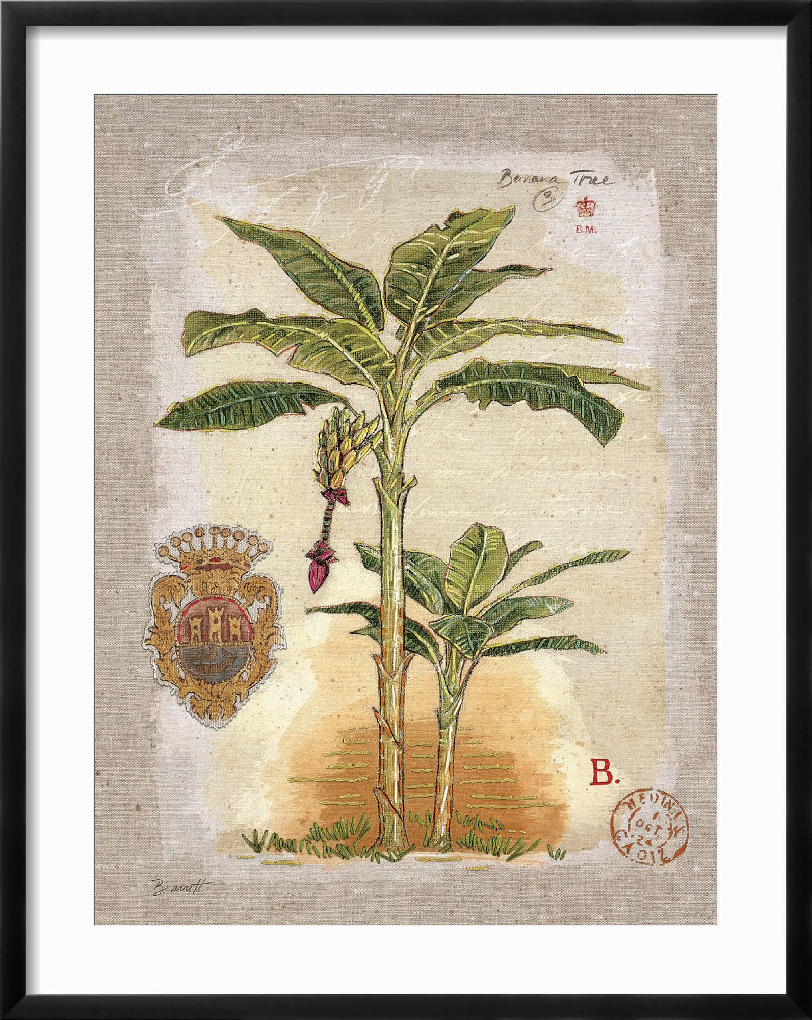 Art.com Linen Banana Palm Tree Art Print by Chad Barrett  display picture 1