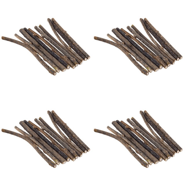 Pasta Dientes Molar para Gato Hierba Gatera Natural Pura Limpieza 10 Uds.