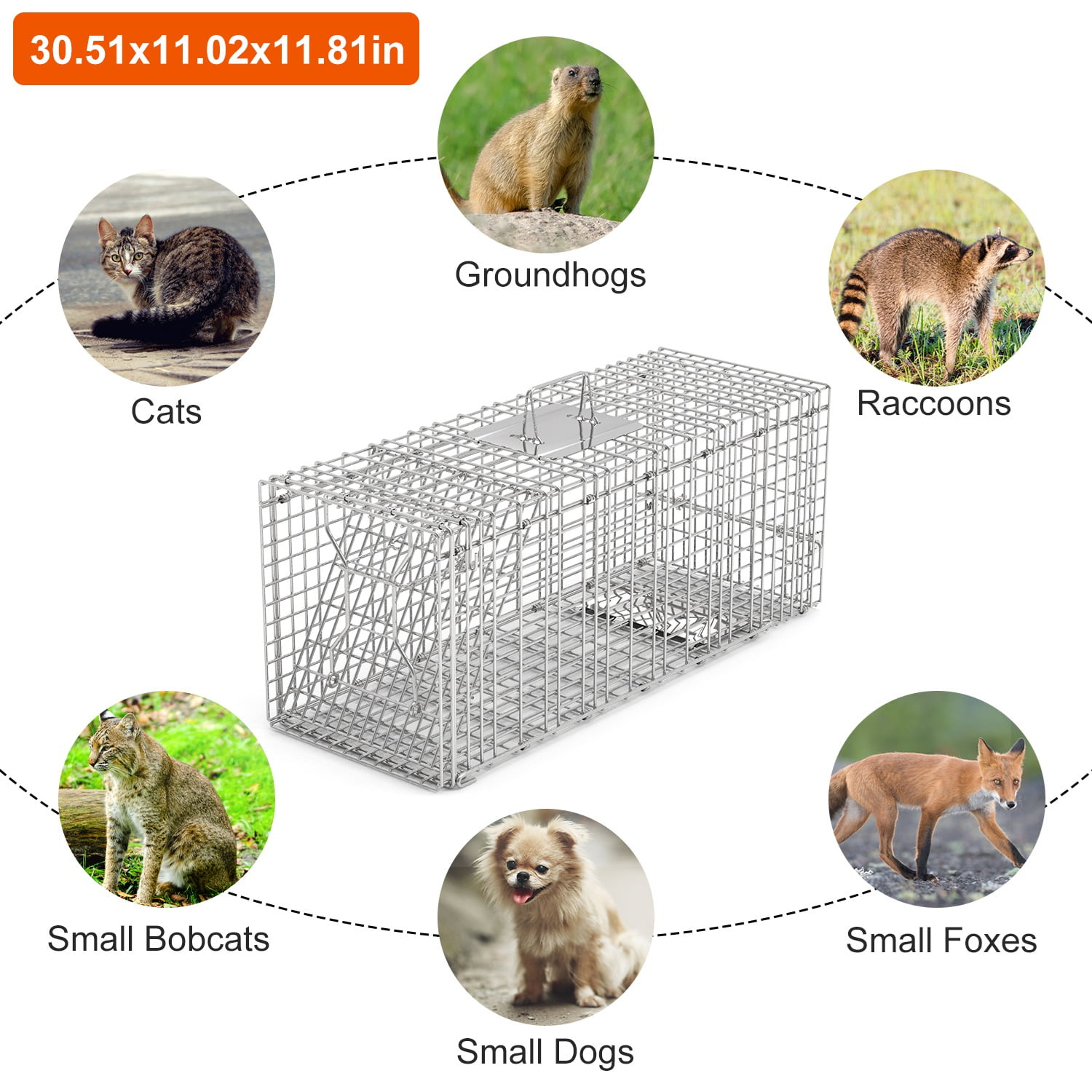 Humane Animal Trap Cage (30.51x11.02x11.81in) - Galvanized Sturdy Wire Mesh, Sensitive Trigger & Dual Doors, Handle Guard Plate, Collapsible for Raccoons, Opossums, Skunks Under 16.5lbs