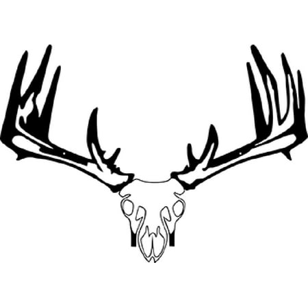 Raxx Whitetail Crossbow Holder (Best Crossbow For Hunting Whitetail)