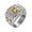Two-Tone Gold, variant on Men's White Cubic Zirconia Horse 14K Gold-Plated Infinity Ring Everyday Wear Size 7 Includes Gift Box