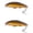 b, variant on Bisitoy 2Pcs Floating Fishing Lures Set with Weedless Hook for Topwater Snakehead