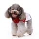 thumbnail image 3 of EeaseMX Ropa de invierno abrigada para cachorros, adorable suéter de ciervo, disfraz para fiesta de Navidad (rojo y blanco, talla S), 3 of 7