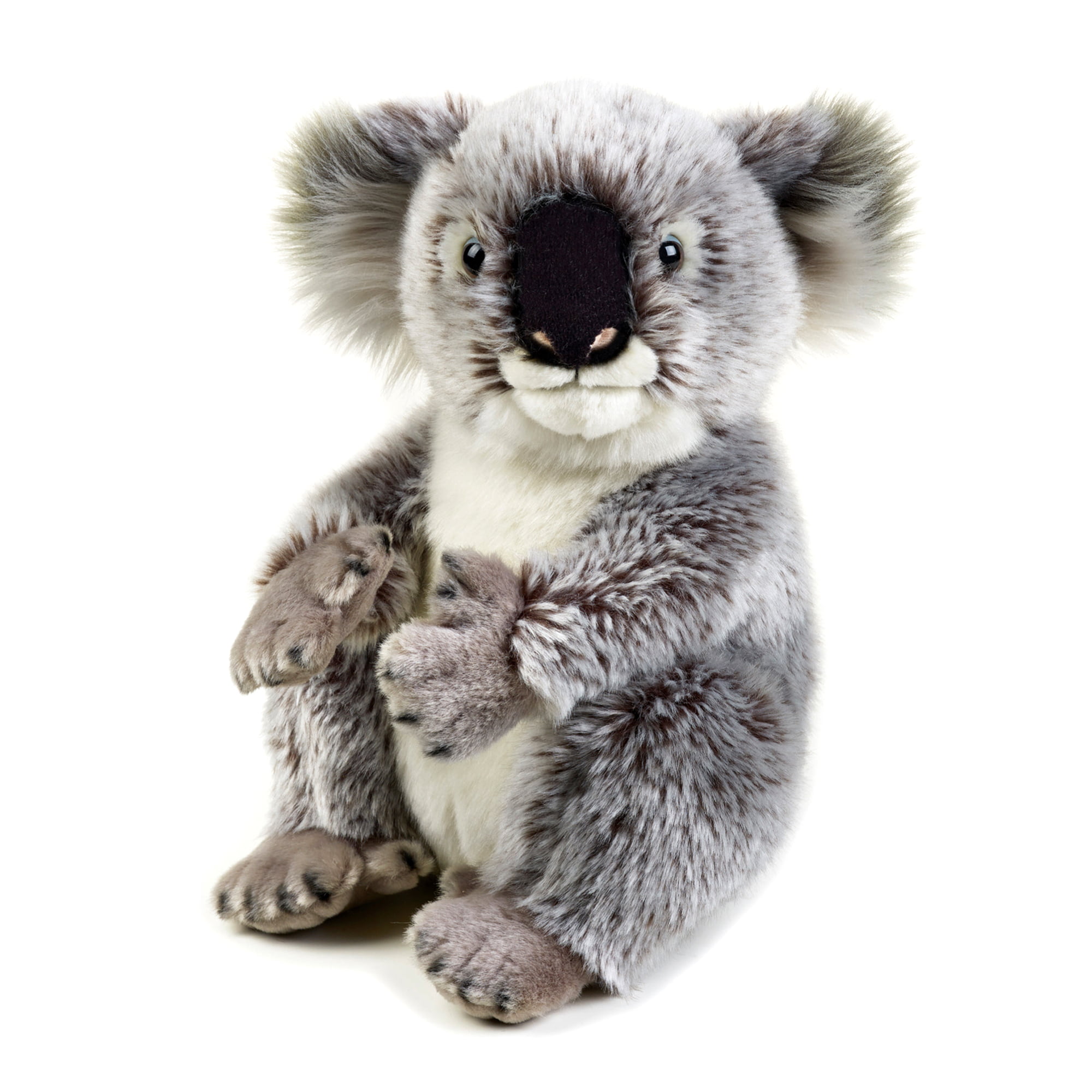 National Geographic Plush Lelly Koala 