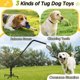 thumbnail image 5 of Juguete interactivo para tirar de perros AugFir para exterior con poste de resorte, 5 of 7