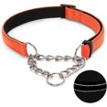 thumbnail image 1 of Collier pour Chien Martingale avec Chaîne en Acier Inoxydable, Collier Réfléchissant en Nylon Rembourré Doux Réglable, Chaîne Robuste Sans Traction pour l'Entraînement à la Marche pour Grands, Moyens, Petits Chiens (Orange, 16.5 Pouces-27.6 Pouces), 1 of 7