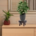 thumbnail image 5 of Indoor Plant Stand Flower Pot Practical Various Shapes of Flowerpots Woman, 5 of 8