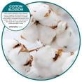 thumbnail image 2 of Fresh Products ourfresh Dry Fragrance Refills, Replace Metered Aerosol, 30-Day Use, Medium Sized Spaces, Powerful Fragrance Free Batteries Included — Cotton Blossom 8pk, 2 of 7
