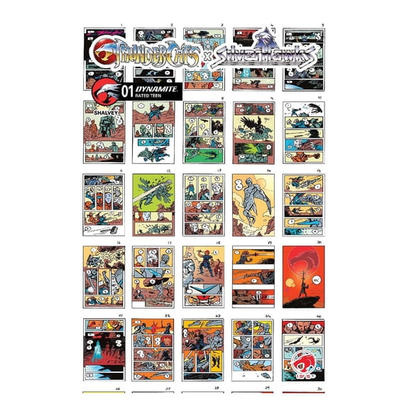 ThunderCats X SilverHawks #1 Cover I - Declan Shalvey Layouts