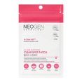 thumbnail image 1 of DERMALOGY by NEOGENLAB A-CLEAR SOOTHING ACNE CARE (1 PACK), 1 of 1