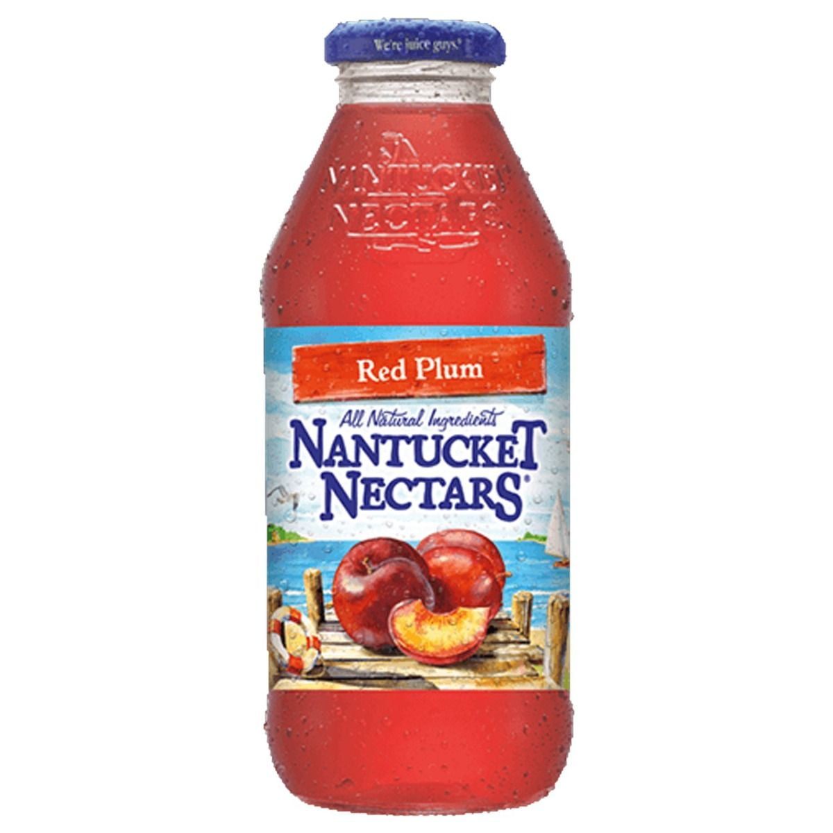 Quench Your Thirst With Nantucket Nectars' Luscious Red Plum Juice