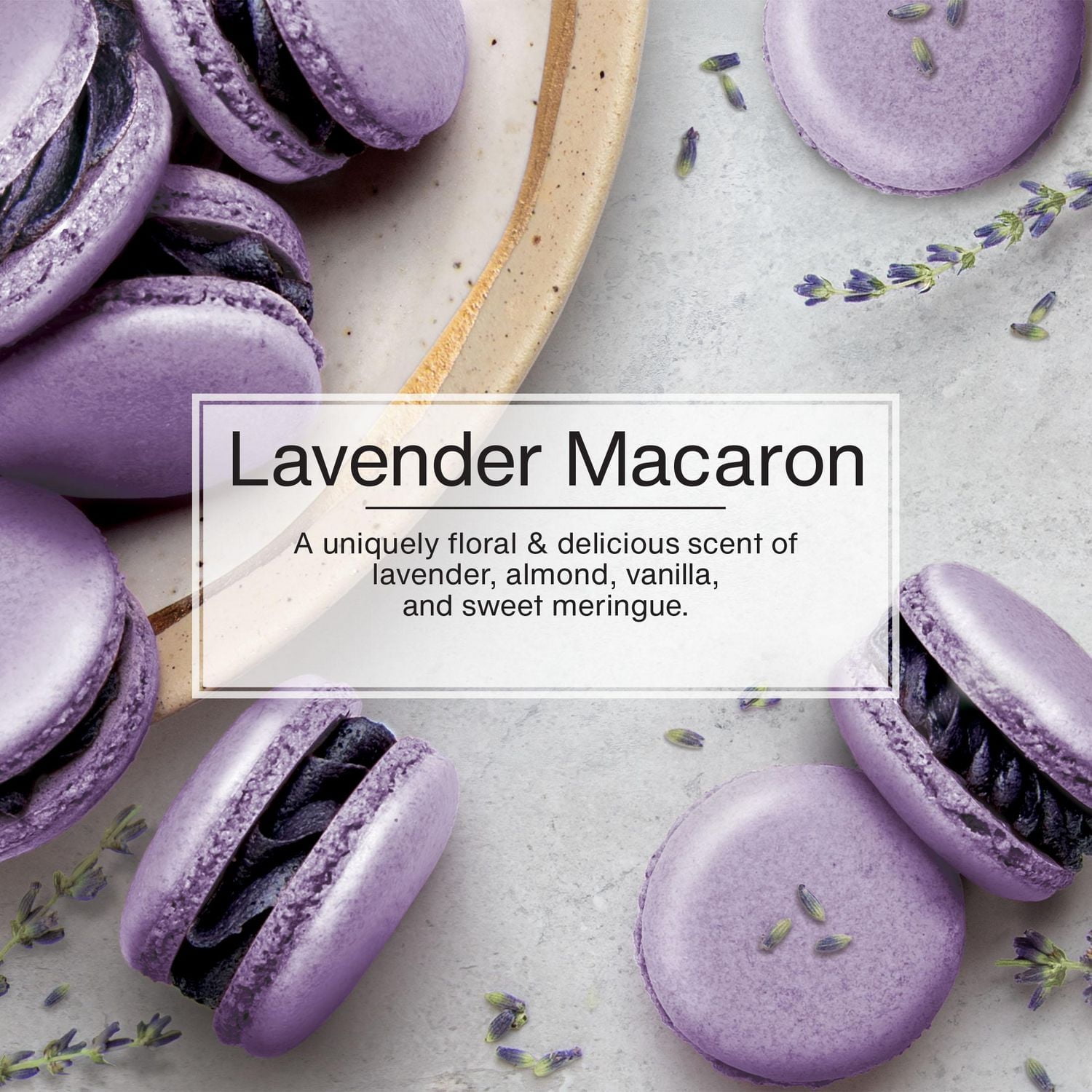 LITTLE TREES air freshener Lavender Macaron 3-Pack, LT Lavender Macaron 3-Pack
