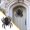 Giant Halloween Skull Spider Under $5 a2, variant on CQCYD Giant Halloween Skull Spider Decoration, 75cm Large Plush Spider Ornament, Spooky Skeleton Spider Prop for Halloween Party halloween house decor