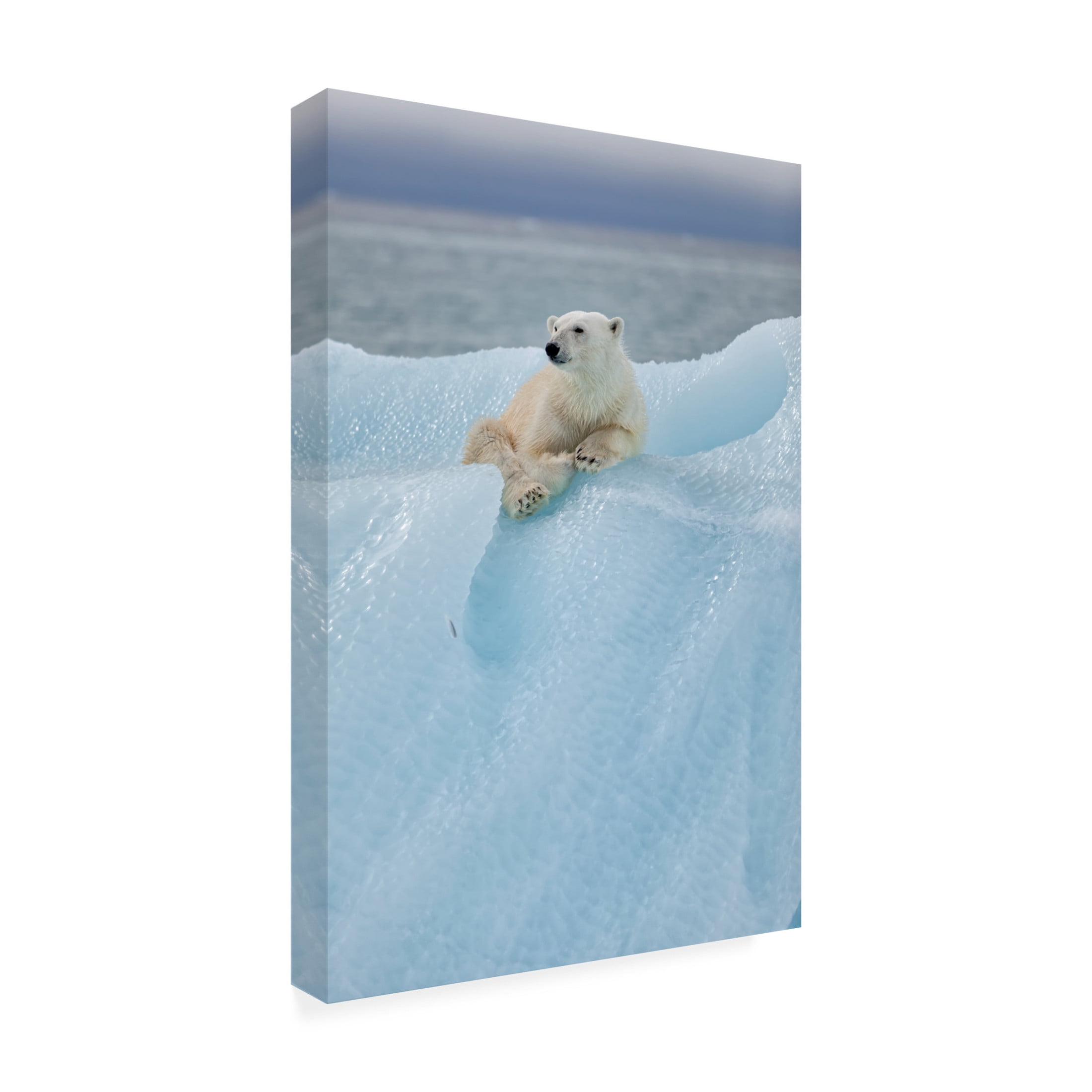Canvas Wall Art - Bo Anderson Gil Raga 'Relaxed Polar Bear' Wall Art for Living Room, Bedroom, or Office D?cor by Trademark Fine Art - 22 x 32 Inches