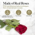 thumbnail image 2 of GLAMOUR BOUTIQUE 16 Forever Flower Heart Shape Box - Preserved Roses, Immortal Roses Gift for Her Eternal Rose Preserved Flowers for Delivery Mothers Day Women Valentines Day Gifts for Wife - Red, 2 of 5