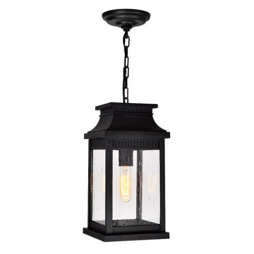 CWI Lighting Milford 1 Light Glass Outdoor Pendant in Black/Clear
