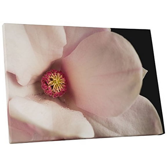 Pingo World 0809QG0I3MM "Magnolia Flower" Gallery Wrapped Canvas Wall Art, 20" x 16", Variable