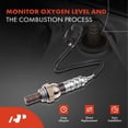 thumbnail image 2 of A-Premium O2 Oxygen Sensor Compatible with Honda Accord V6 3.5L 2013-2016 Downstream Front Manual only, 2 of 9