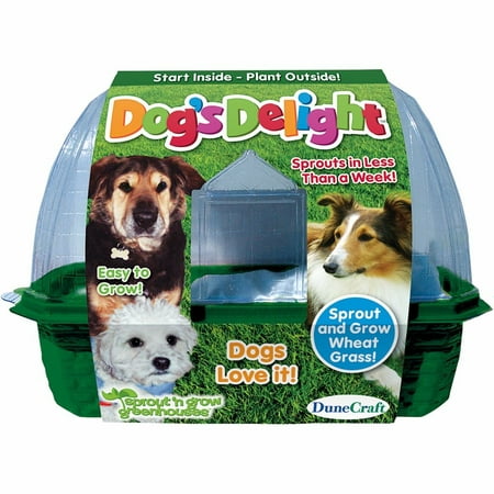 Dogs Delight Plant Kit