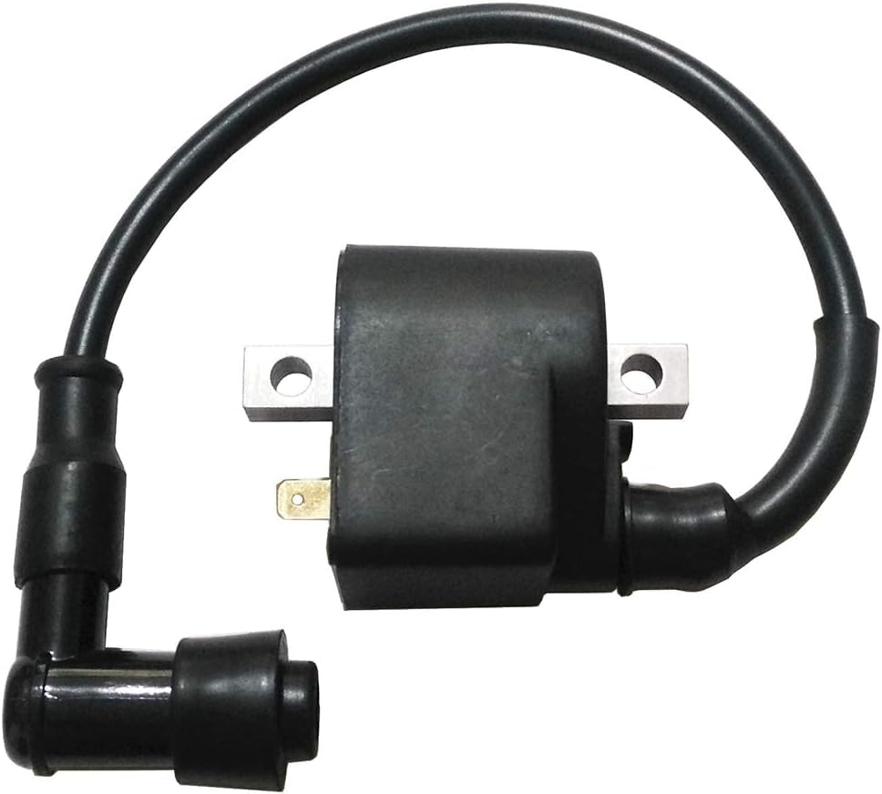AX100 100cc Lgnition Coil