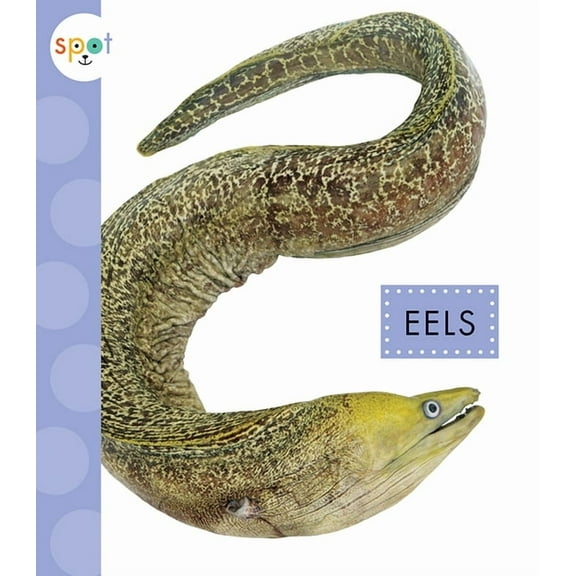 Spot Ocean Animals: Eels (Paperback)