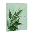 thumbnail image 2 of Stupell Industries Transitional Verdant Lily Of Valley Canvas Art, 16 x 20, by Grace Popp, 2 of 8