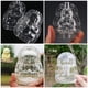 thumbnail image 4 of 2 moldes transparentes para ginseng, moldes para frutas en crecimiento, molde con forma de Buda, 4 of 6