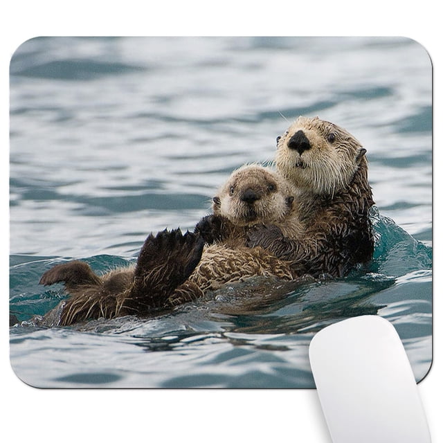 Mouse pad Wknoon nutrias marinas 24 x 20 cm impermeable